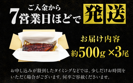 【新登場】【1尾約500g】超特大うなぎ蒲焼×3尾　広川町 / 株式会社イールファクトリー[AFBS033]