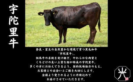 宇陀里牛 サーロインステーキ 4枚 (1枚 約200g) ／ ふるさと納税 国産 黒毛和牛 牛肉 ステーキ バーベキュー BBQ キャンプ お中元 暑中見舞い お土産 お歳暮 正月 奈良県 宇陀市 光福久屋