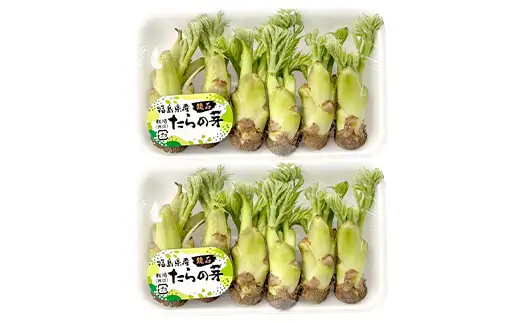 〈先行予約〉天栄村×鏡石町コラボ返礼品 山菜ごちそうセット ふきのとうとタラの芽（各100g） 山菜 野菜 食品 フキノトウ たらのめ 福島県 天栄村 鏡石町 F21T-487
