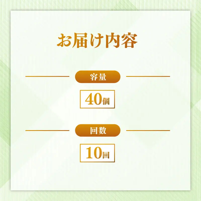 定期便 パックごはん 白米 40個×10回