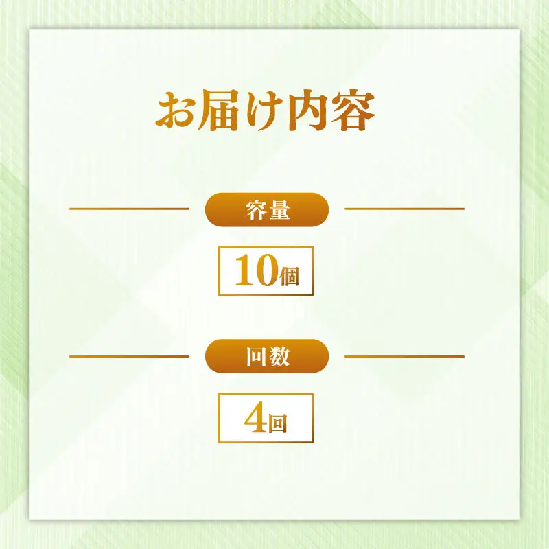 定期便 パックごはん 白米 10個×4回
