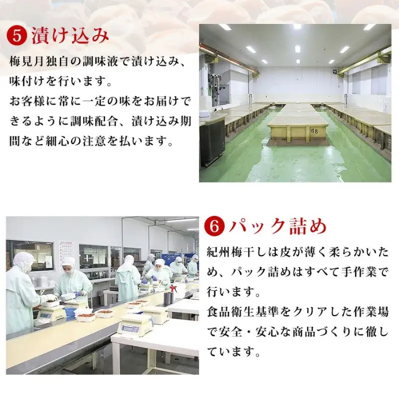 紀州南高梅 大トロつぶれ梅 300g×3個／塩分8％【mryms002】