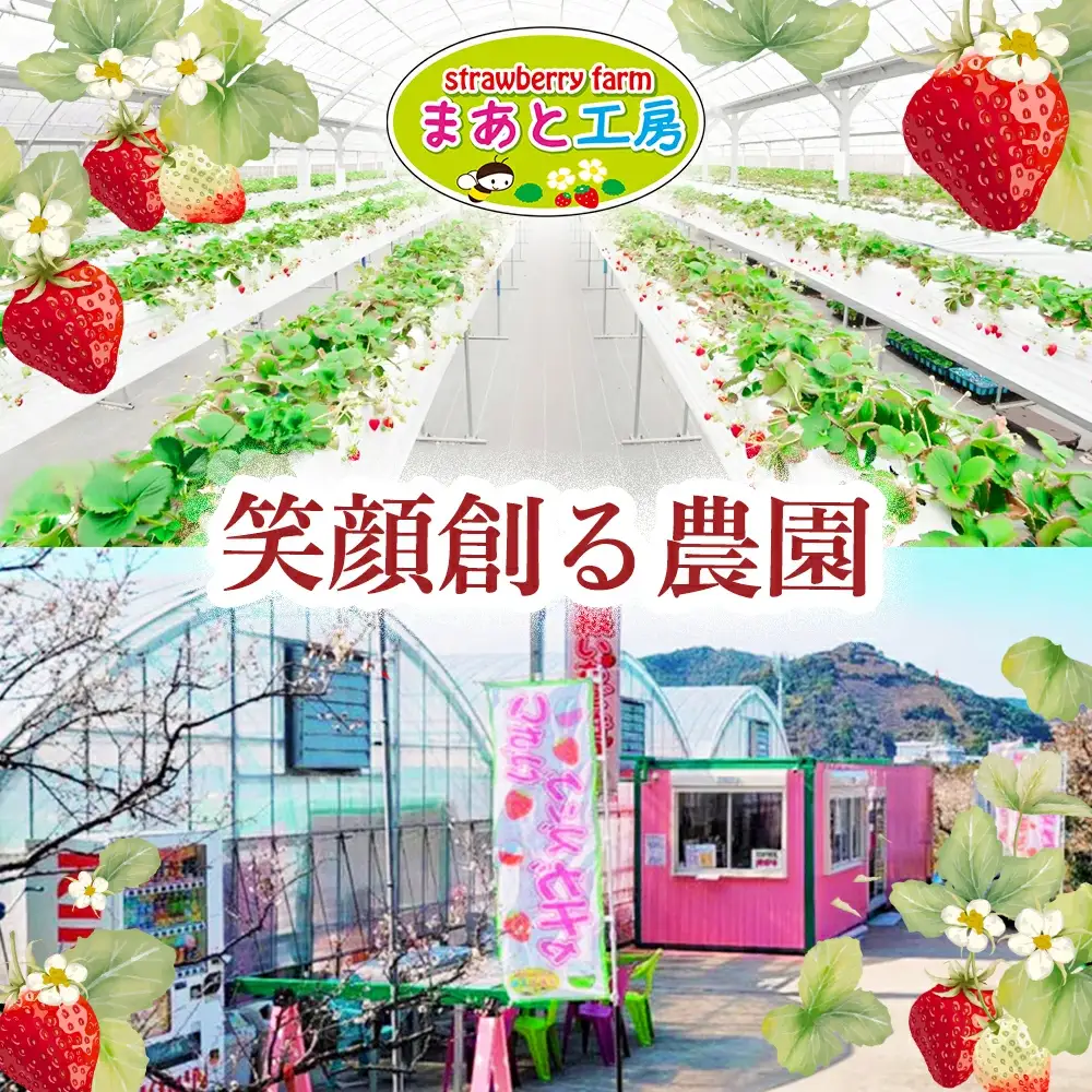 【体験】いちご狩り体験ファミリーチケット【maato003A】