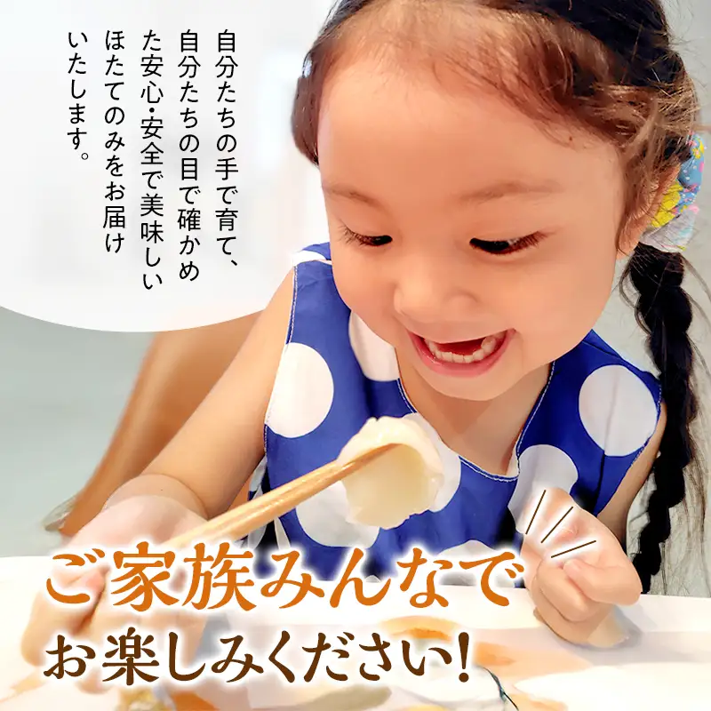 3ヵ月連続お届け 定期便 訳あり 北海道 オホーツク産 冷凍 ほたて 貝柱フレーク 3kg（1kg×3箱）ホタテ ランキング 海鮮 刺身 冷凍ふるさと納税 帆立 ふるさと 規格外　人気 ホタテ貝柱