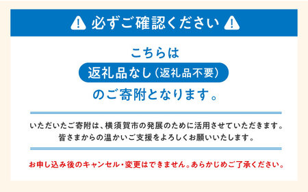 【応援寄附金】神奈川県横須賀市 返礼品なしのご寄附（1,000,000円）【横須賀市】[AKZZ038]