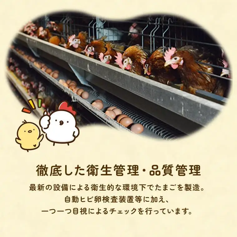 【定期便8回】九十九里ファームこだわりたまご贈答用 30個 ～あおい海・みどりの里～《白玉》 たまご 卵 玉子 タマゴ 白玉 卵かけご飯 新鮮 旨み 甘み 贈答用 贈答 ギフト 贈り物 千葉県 匝瑳市