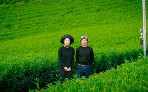 八女茶 Rooji＋ 玉露入り煎茶 ＆ 和紅茶 ティーバッグセット お茶 煎茶 緑茶 ティーバッグ 国産 福岡県産 紅茶 玉露入り