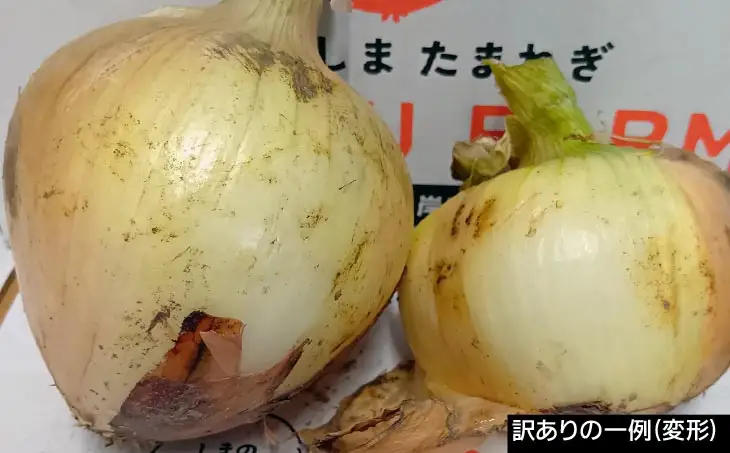 【完熟玉ねぎ予約】訳あり品　淡路島産完熟玉ねぎ 10kg　◆配送６月～翌年１月