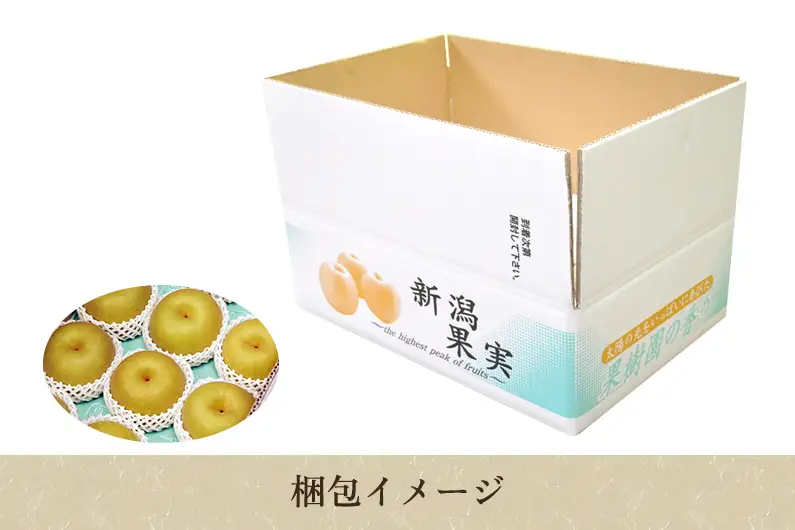 【2026年先行予約】【贈答用】新潟県産和梨 新興 約3kg（5?9玉）《12月上旬～順次出荷》 梨 新興 しんこう