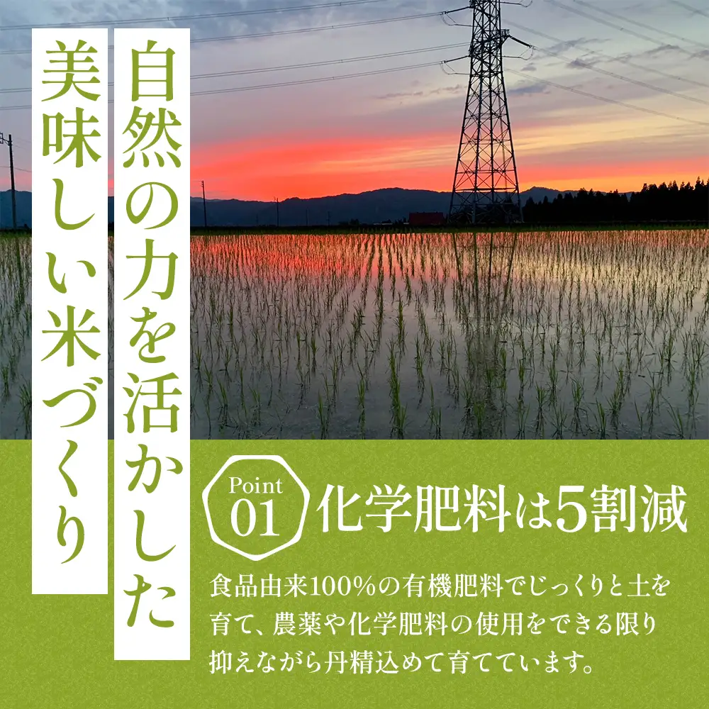 【令和8年産 先行予約】魚沼産特別栽培米コシヒカリ［清津の恵］精米10kg（5kgx2袋）
