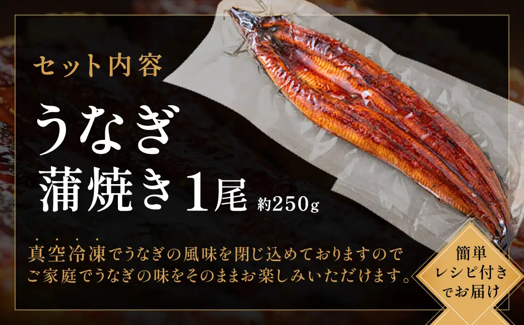 ZI369.うなぎ蒲焼き1尾セット（約250g×1尾）