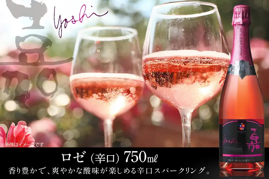 ワイン 嘉 スパークリングワイン 750ml 1本 4回 定期便 総計4本 [高畠ワイナリー 山形県 高畠町 tk06ays730123]
