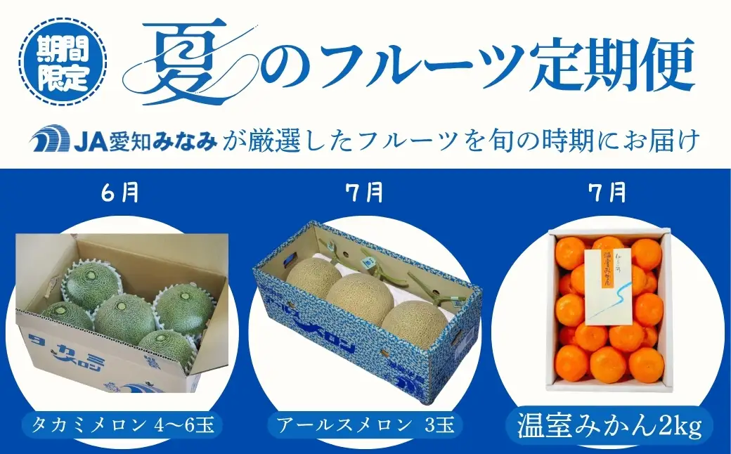 JA愛知みなみ 夏のフルーツ定期便 3回 お届け タカミメロン アールスメロン 温室みかん メロン ミカン 蜜柑 みかん 定期便 旬 夏 フルーツ 果物 くだもの 甘い スイーツ おやつ 渥美半島 田原市 愛知県 3ヶ月 3か月 三カ月 定期 青肉 フルーツ定期便