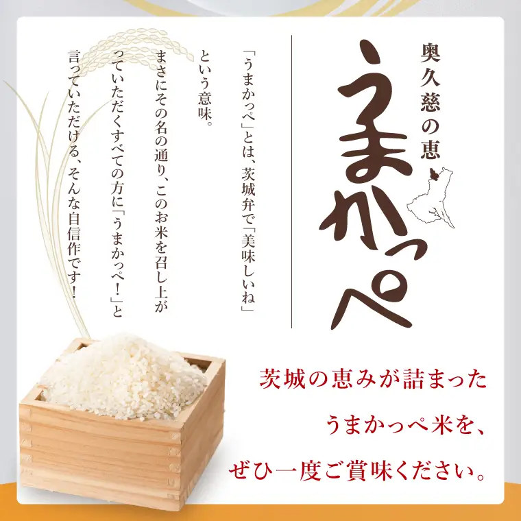 【3ヶ月定期便】令和7年産　奥久慈の恵みうまかっぺ米（コシヒカリ） 5kg｜茨城県 大子町 お米 白米 精米 ブランド米 銘柄米 食味値 ふっくら もちもち（AH019）