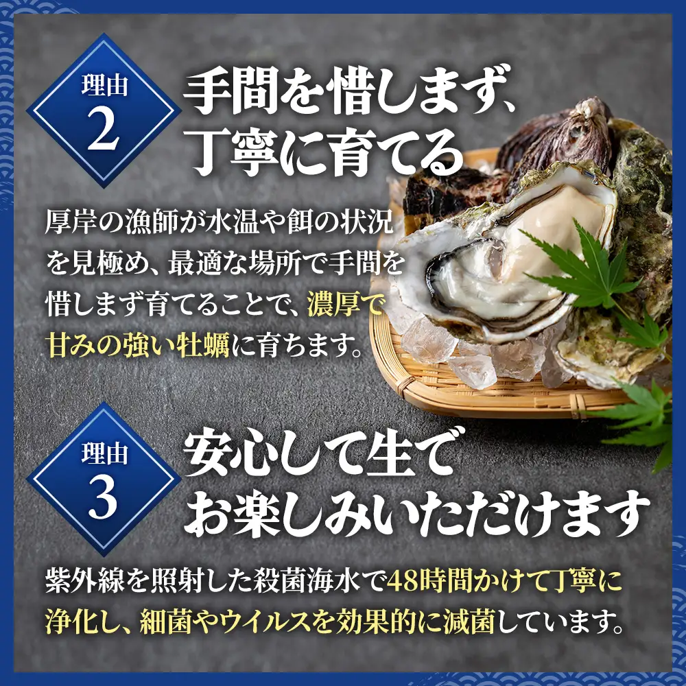 翌日配送 航空便 厚岸のブランド牡蠣 マルえもん 2Lサイズ 20個 [ 牡蠣 生食用 魚貝類 海鮮 海のミルク 国産 生食用殻付き牡蠣 まろやか クリーミー  牡蠣の酒蒸し 焼き牡蠣 マルえもん ]
