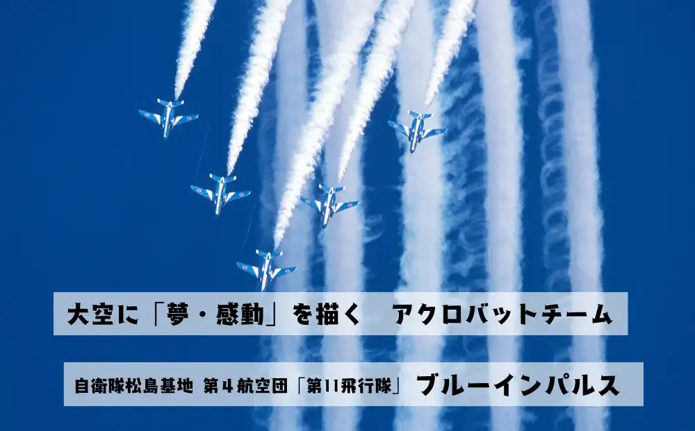 ブルーインパルス 笹かまのり天串 自衛隊 ブルーインパルス Blue Impulse ささかま 海苔 のり天 航空自衛隊