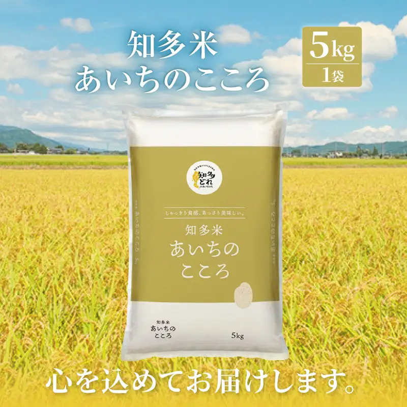 知多米 あいちのこころ 5kg