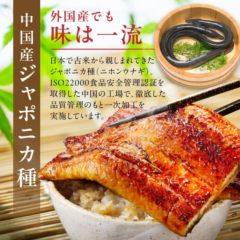 【土用の丑の日までにお届け】うなぎ 暴れ盛り 250g（2カット）