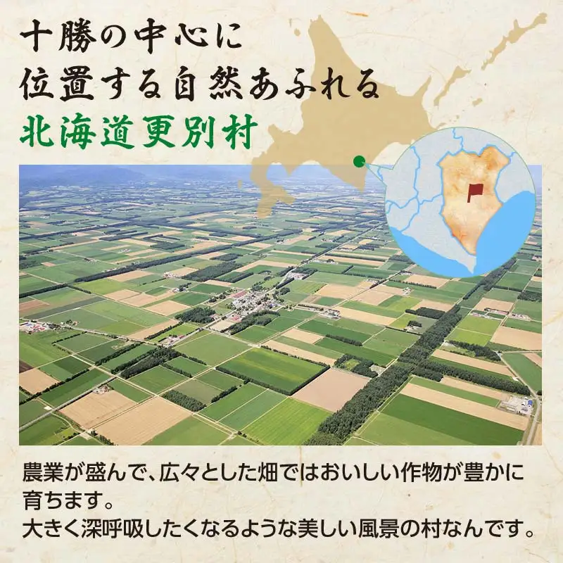 【訳あり】北の凍れ豚 生姜焼き300g×5P 北海道産 豚肉 レトルト 冷凍 おかず 惣菜 加工品 食品 お肉 北海道十勝更別村  F21P-1393