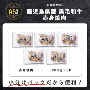 【小分け】＜A5等級＞鹿児島県産 黒毛和牛 牛肉 赤身 焼肉 (200g×5P/計1kg) 牛肉 肉 小分け 鹿児島県産 国産 A5 赤身 焼肉 焼き肉 黒毛和牛 BBQ b44-001