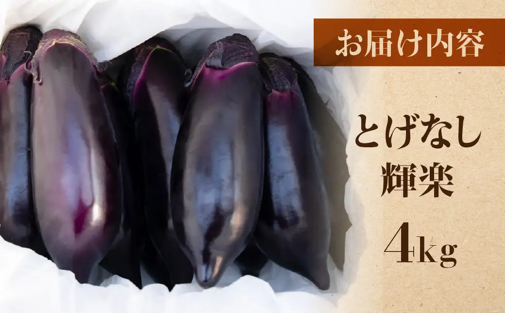 《先行予約》大玉なす とげなし輝楽 4kg 茄子 なす ナス 旨い 甘い 艶 ツヤ ハリ 揚げ物 揚げ茄子 焼茄子 麻婆茄子 輝楽 愛知県 豊橋市