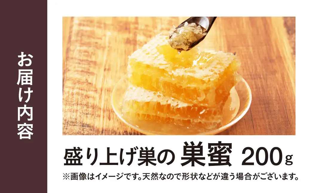 はちみつたっぷり巣蜜≪200g≫ 蜂蜜 はちみつ 国産 非加熱 純度100% 巣蜜 盛り上げ巣 常温 はちみつ ハチミツ 蜂蜜 ハニー 蜜切れ セット ハチミツセット 贈答 プレゼント 贈り物 貴重 希少 おススメ 高級 送料無料 愛知県 豊橋市