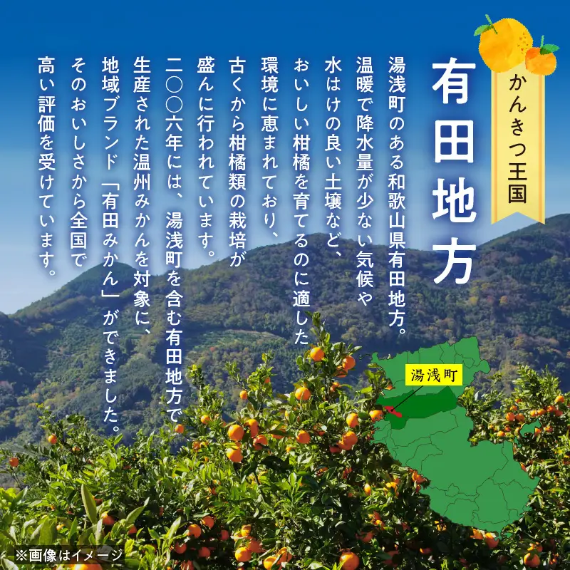 AB7372_Y_【直営限定】《先行予約・2027年3月発送》希少柑橘 ご家庭用 ブラッドオレンジ　サイズ混合/ご家庭用/3kg(傷み補償200g)　