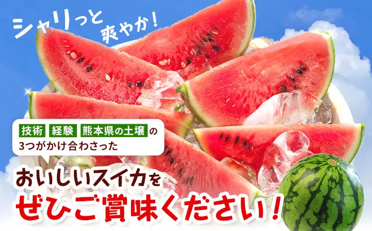 【先行予約】小玉スイカ 3～5玉 約4.5kg 日本フルーツ株式会社 《4月下旬-7月下旬頃出荷》 こだますいか 西瓜 すいか フルーツ 果物 くだもの 旬 熊本県 菊池市 熊本県産 くまもと