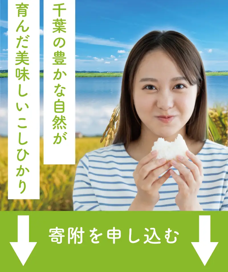 こしひかり 5kg コシヒカリ 8000円 令和7年産 [IWS004]