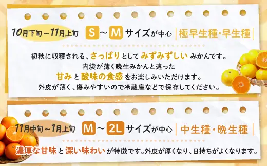 かねひろの黒酢みかん【5kg S～2L サイズ別】先行予約《11月下旬～1月上旬頃発送予定》温州みかん ふるさと納税 みかん 5kg 少量 フルーツ 甘い ジューシー 果物 蜜柑 お取り寄せ 農家直送 国産 九州 佐賀県 鹿島市 送料無料 A-230