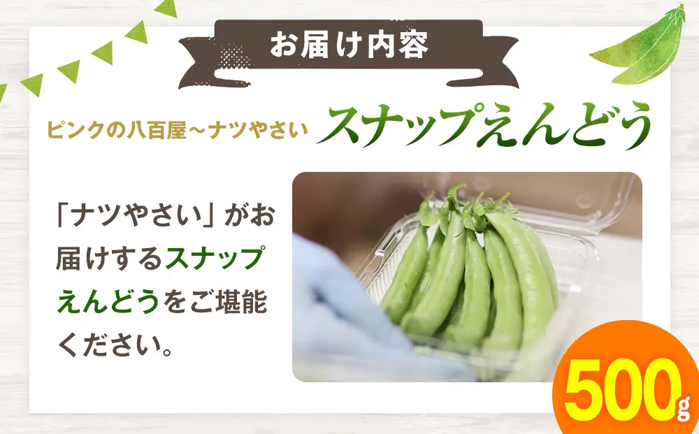R8年産 スナップえんどう（品種：グルメ） 500g ピンクの八百屋〜ナツやさい〜 | 北海道津別町