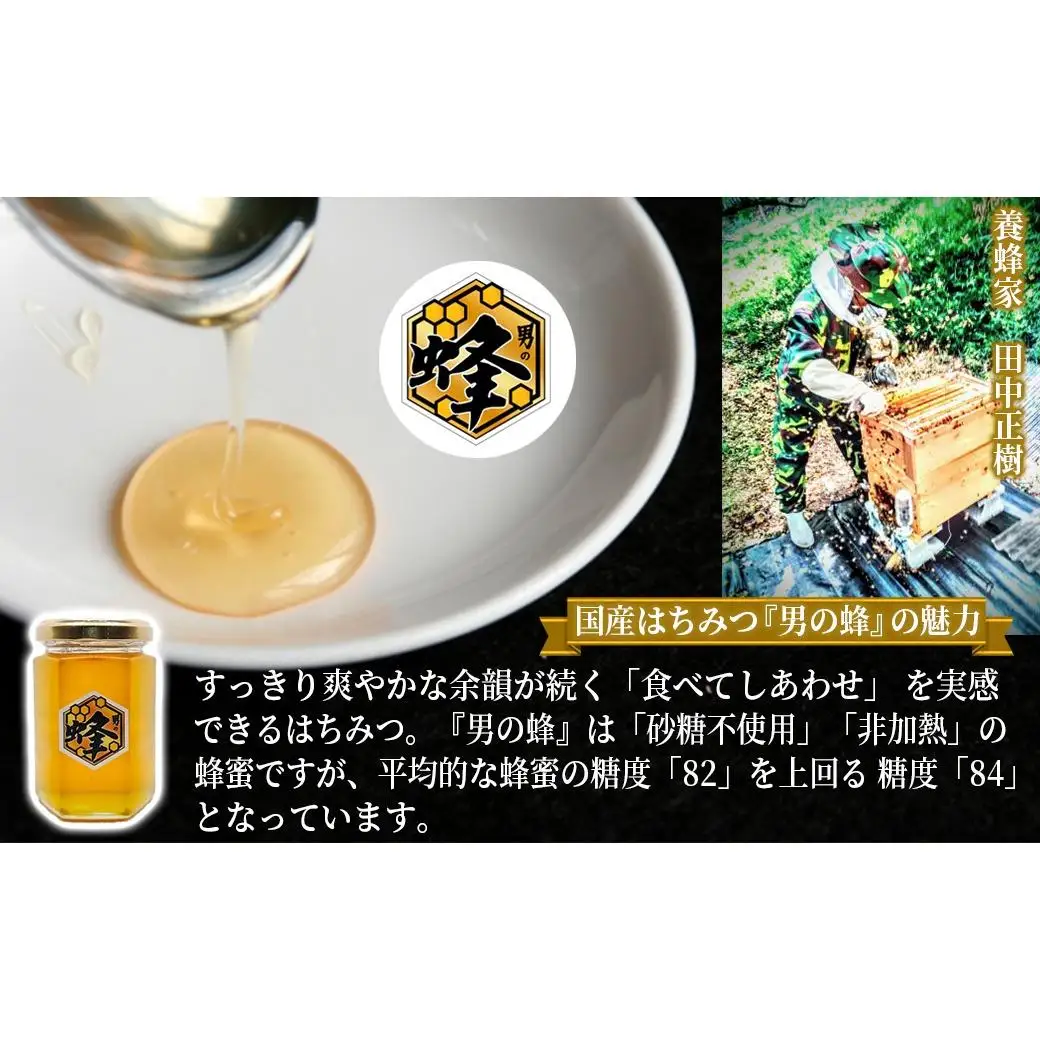 国産純粋はちみつ 男の蜂 (540g 180g×3個) 非加熱 百花はちみつ スッキリとした味わい 自然な甘さ 砂糖不使用 腸活 酵素