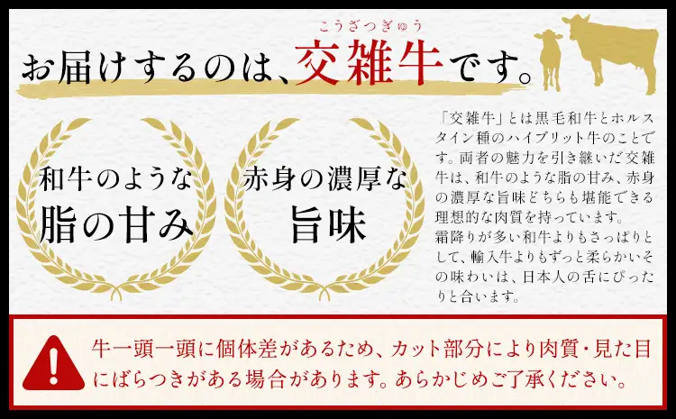  岡山県産牛 切り落とし ミンチ セット  2kg (各1kg)  牛肉 ミンチ