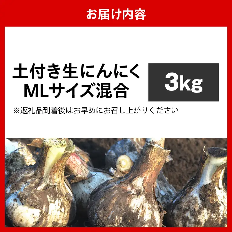 にんにく　生にんにく3kgＭＬサイズ混合土つき2026年6月下旬～発送