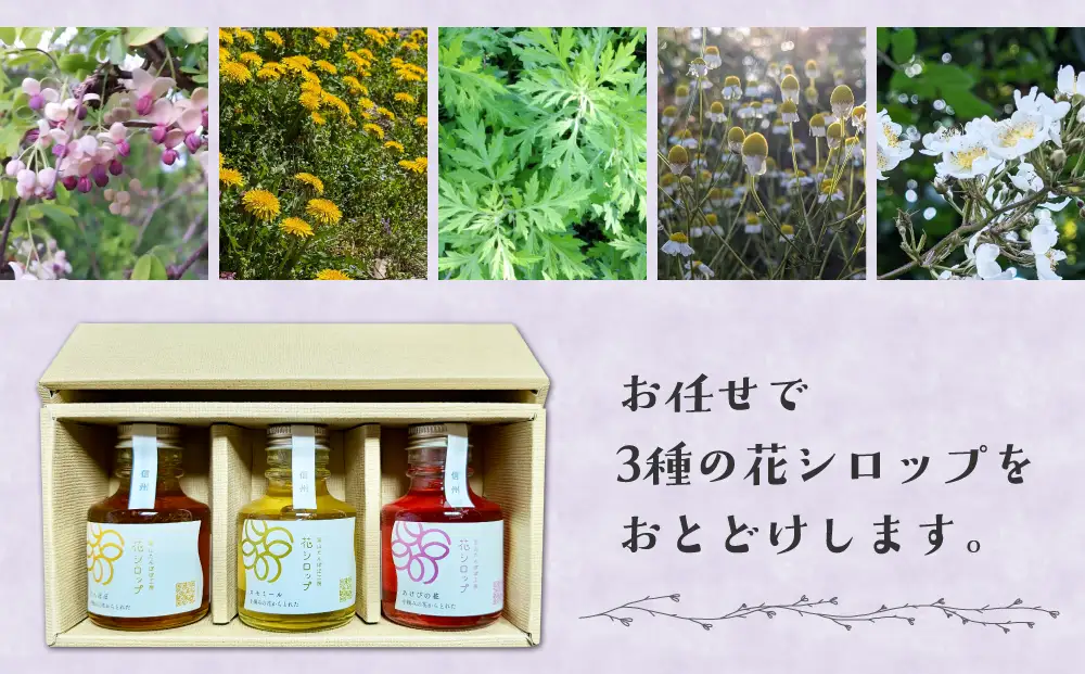 信州の花シロップ　お任せ3種（たんぽぽ、よもぎ、あけびの花、カモミール、野ばらのうち3種）【里山たんぽぽ工房】