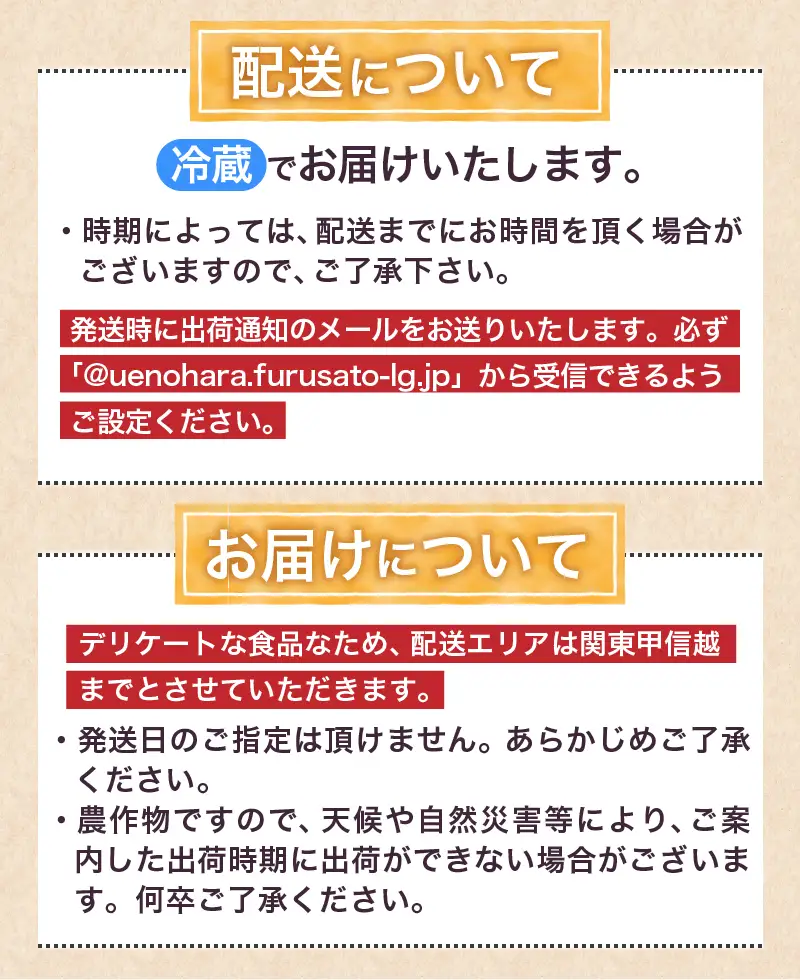 ★2026年先行予約★【関東甲信越エリア限定】＼季節限定／花ズッキーニ（16本入り）