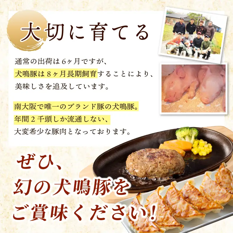 【泉佐野ブランド豚】犬鳴豚餃子 75個／手作りプレミアムハンバーグ（10個入り） 全2回