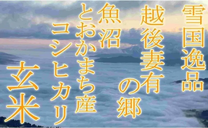 【令和8年産 先行予約】●定期便・玄米●【雪国逸品5kg×6ヶ月】 越後妻有の郷 魚沼十日町産コシヒカリ お米 ご飯 良質 ミネラル 極上 新鮮 香り つや 粘り