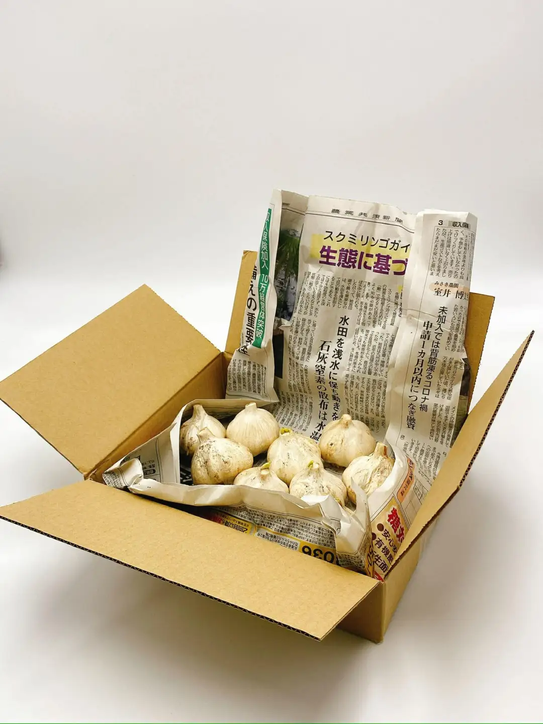 飛騨産 にんにく 300g ニンニク【7月中旬から12月発送】水村農園