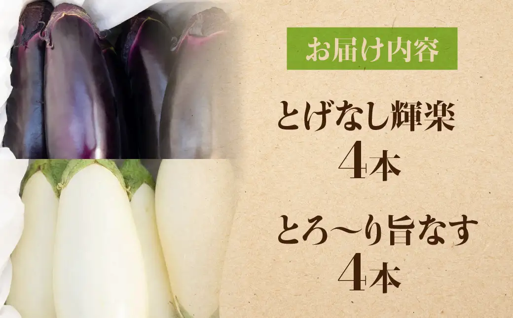 《先行予約》とげなし輝楽×とろ～り旨なす 食べ比べセット 各4本 計8本 茄子 なす 白茄子 白なす 白ナス ナス 旨い 甘い 艶 ツヤ ハリ 揚げ物 揚げ茄子 焼茄子 麻婆茄子 輝楽 愛知県 豊橋市
