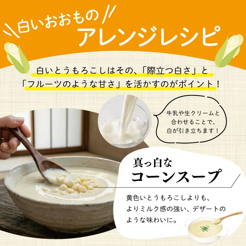 北山さんちの新鮮とうもろこし 白いおおもの 14～16本 kn3