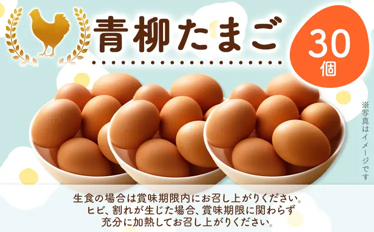 卵  青柳たまご 30個  卵 