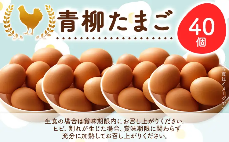卵  青柳たまご 40個  卵 