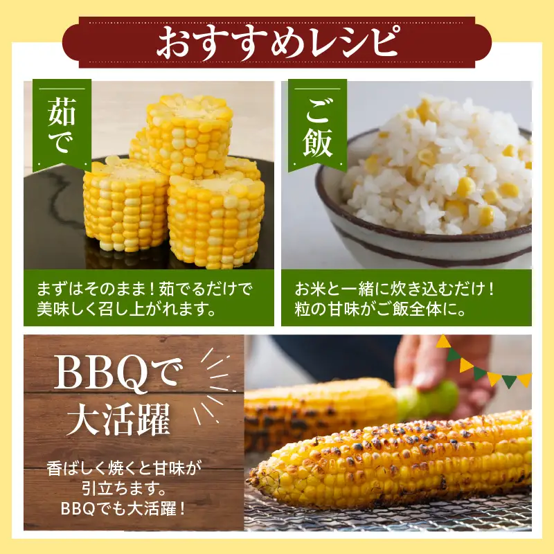 とうもろこし フルーツコーン 8本 令和8年産 とうもろこし