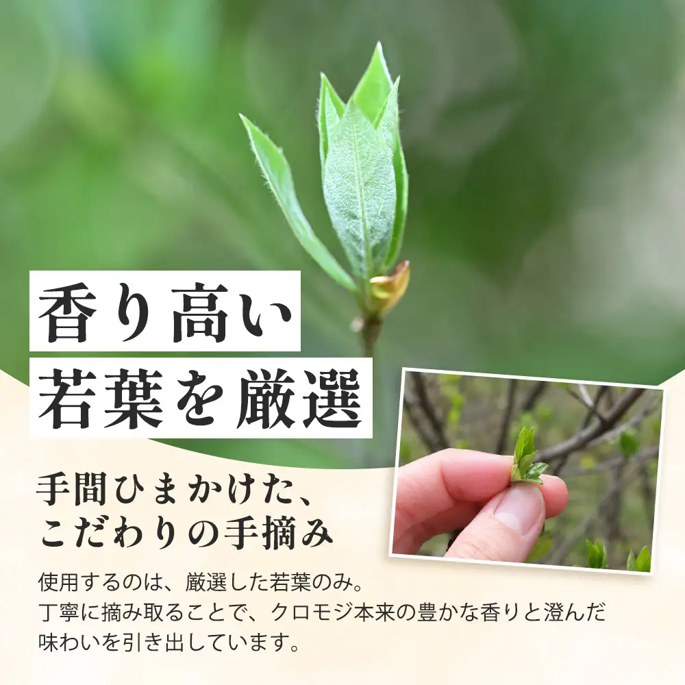 【数量限定】くろもじ茶（葉・枝入り）10包×3袋［2026年6月中旬以降順次発送］ ティーバッグ 常温｜クロモジ茶 ハーブティー ノンカフェイン パック 爽やか リラックス 諸麥商店 宮崎県 諸塚村 MM-01