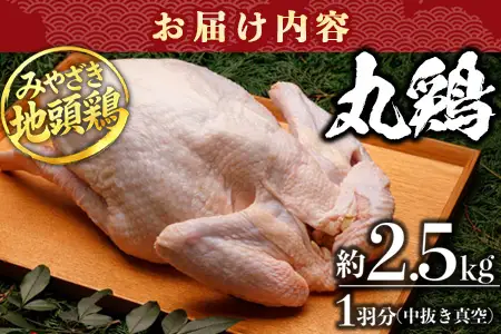みやざき地頭鶏 1羽 中抜き 丸鶏 セット 冷凍｜鶏肉 地鶏 丸鶏 1羽まるごと ロースト チキン じとっこ 真空パック 興洋開発株式会社 宮崎県 諸塚村 KY-16