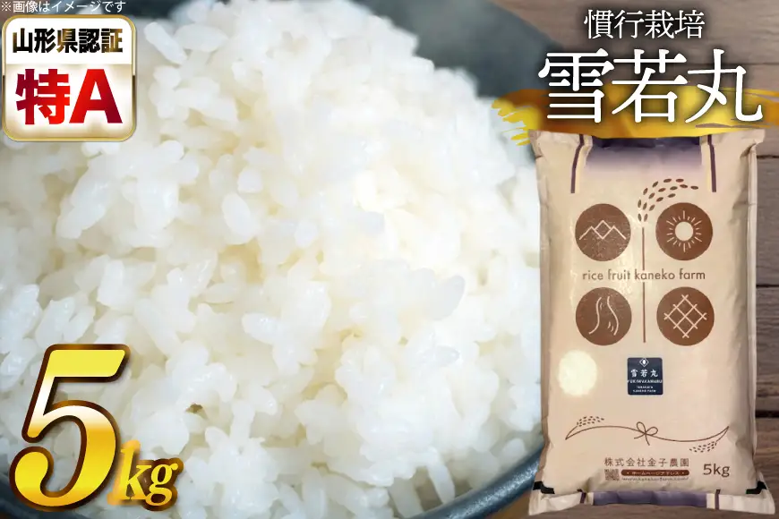 【期間限定発送】 米 令和7年産 慣行栽培 雪若丸 5kg [金子農園 山形県 高畠町 tk06ays950061]