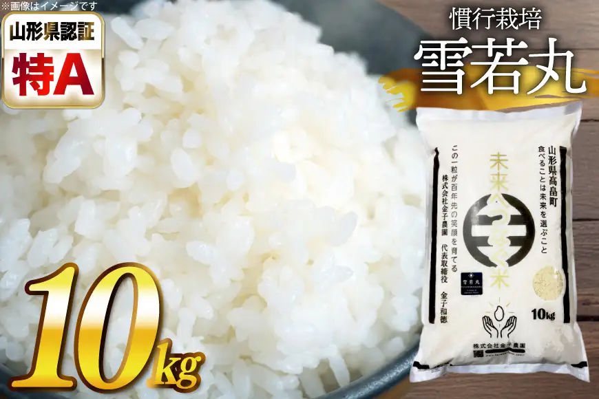 【期間限定発送】 米 令和7年産 慣行栽培 雪若丸 10kg [金子農園 山形県 高畠町 tk06ays950060]