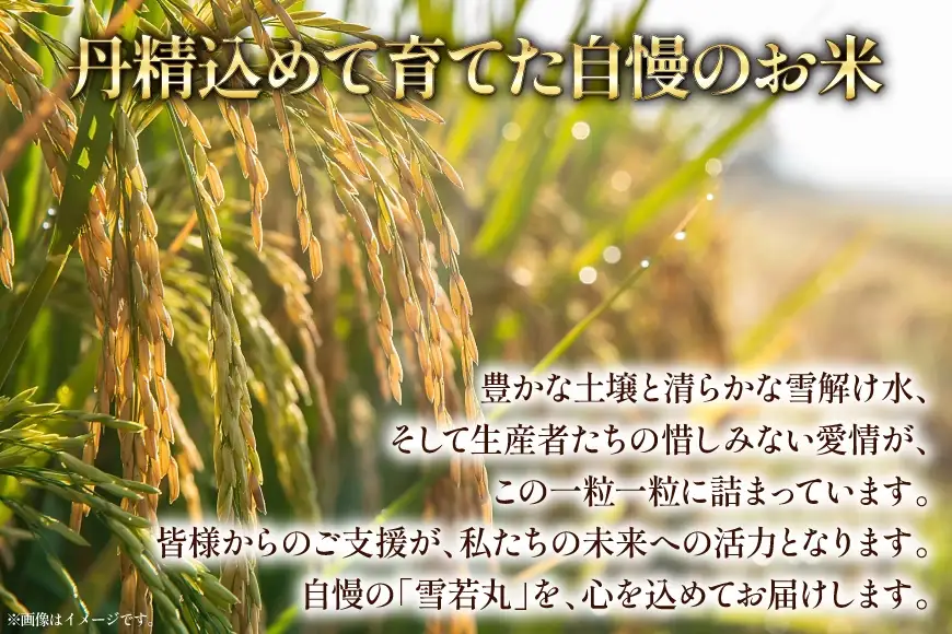 米 令和8年産  雪若丸 10kg(5kg×2) [本田勇仁 山形県 高畠町 tk06bgj910001]