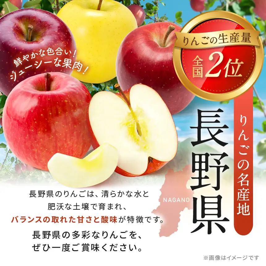 フルーツ定期便 3回